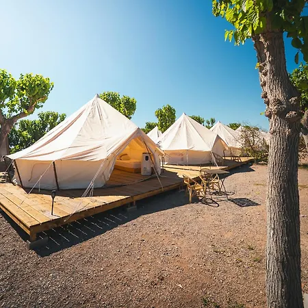 Holacamp