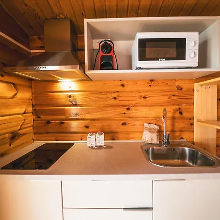 Holacamp * 실세스