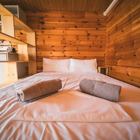 Holacamp * 실세스